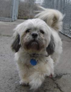 Bailey