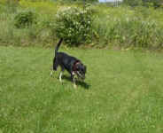 Cleo (Mix) 