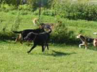 Kasey & Toby