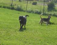 Kasey & Toby