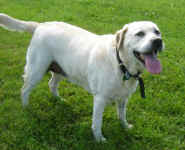 Katie