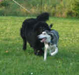 Ky and Orson