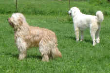Maggie and Shelby