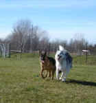 Suka and Tye