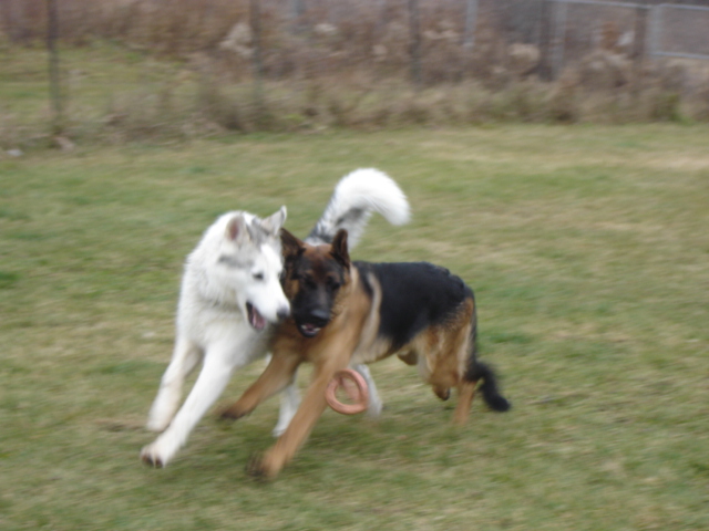 Suka and Tye