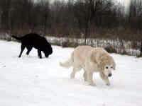 cassie-yardley-dec-09-2.jpg (165885 bytes)