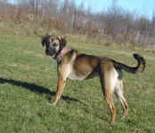 missy-oct-09-1.jpg (39033 bytes)