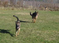 missy-x-nov-09-1.jpg (26964 bytes)