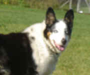 Zeena