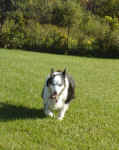 Zeena